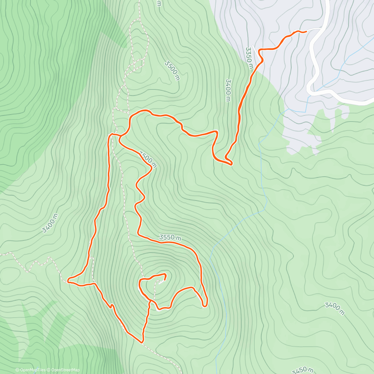 Карта физической активности (Morning Walk)