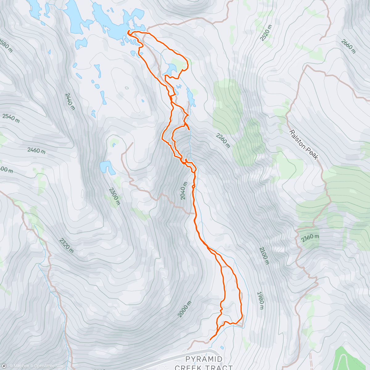 Map of the activity, Demolition Wilderness Explorer Bears 🐻