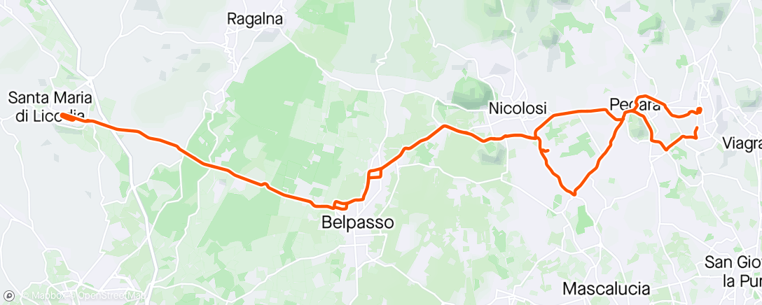 Map of the activity, Il solito Bar, e Benvenuto Cristian
