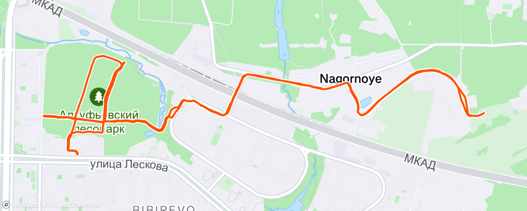 Map of the activity, Evening Run