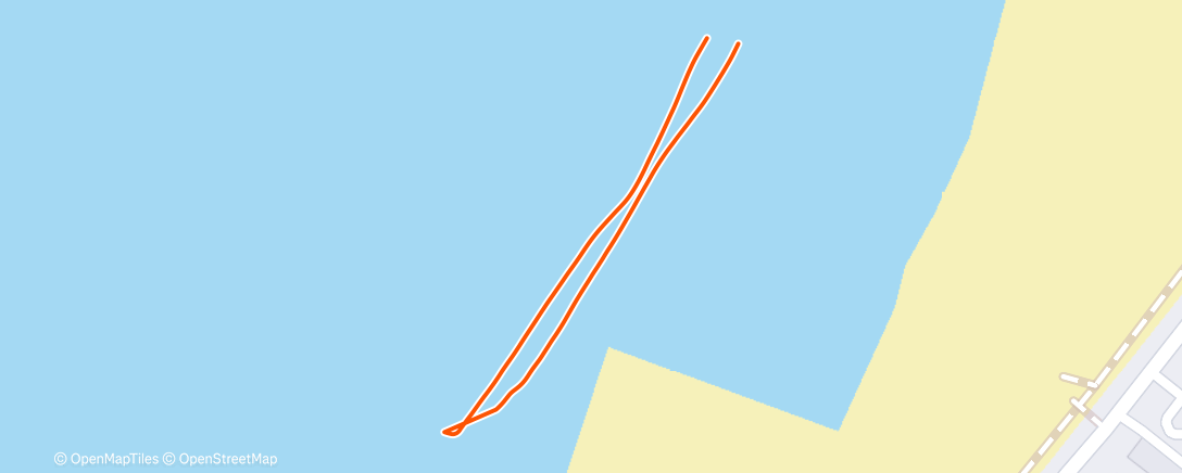 Карта физической активности (Lunch Swim)