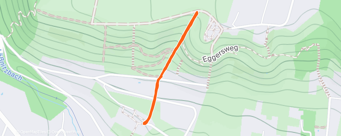 Карта физической активности (Morning Run)