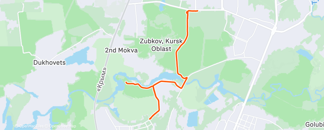 Карта физической активности (Утренний забег)