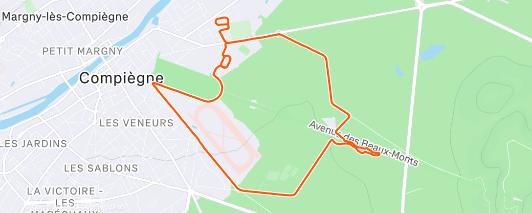 Карта физической активности (Run in Compiègne 🤘😎)