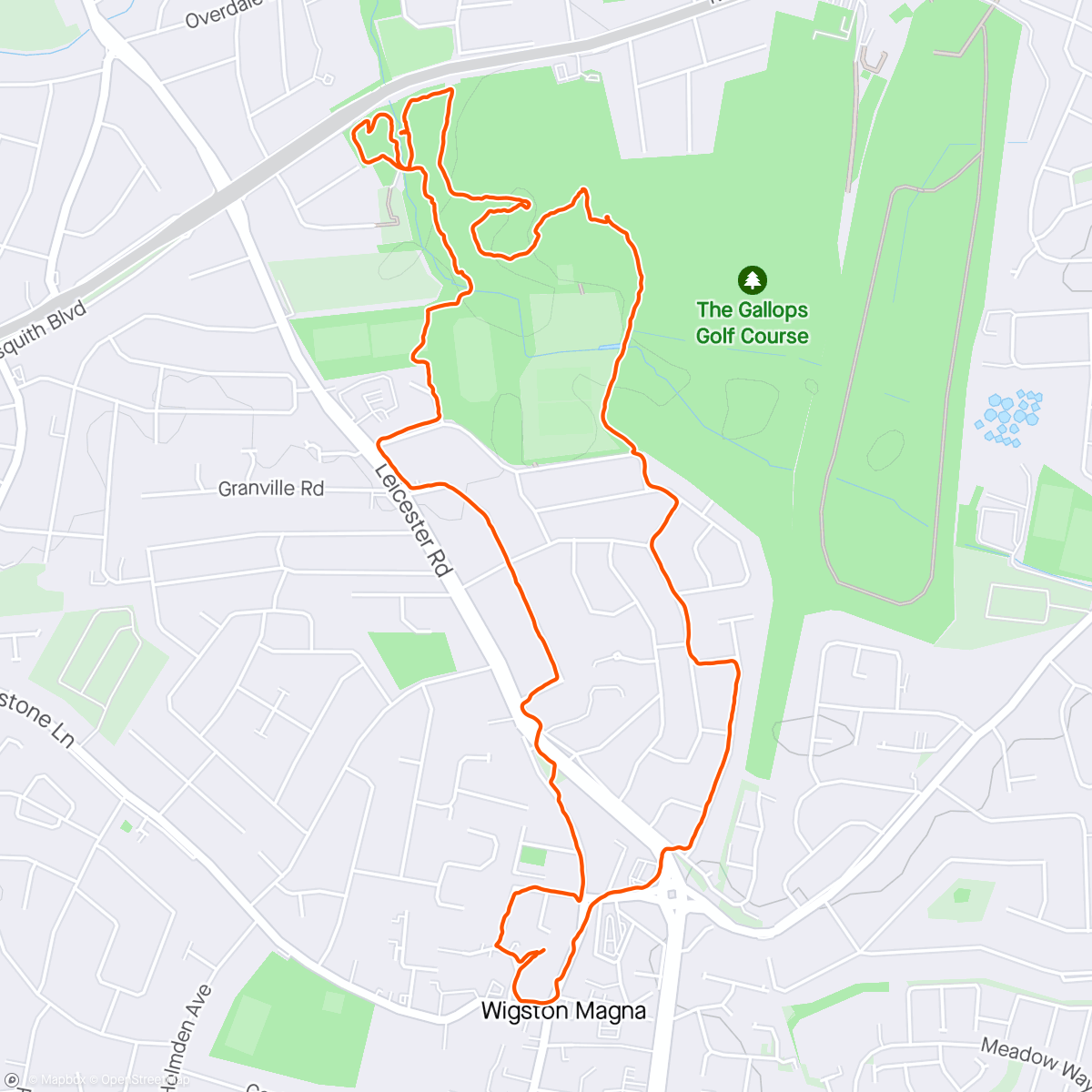 Map of the activity, Knighton Park with Mollie 🐕