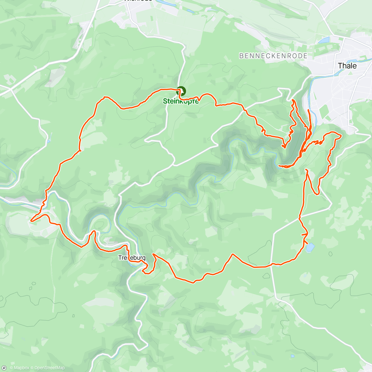 Map of the activity, Traillauf heute links herum um Königsruhe
