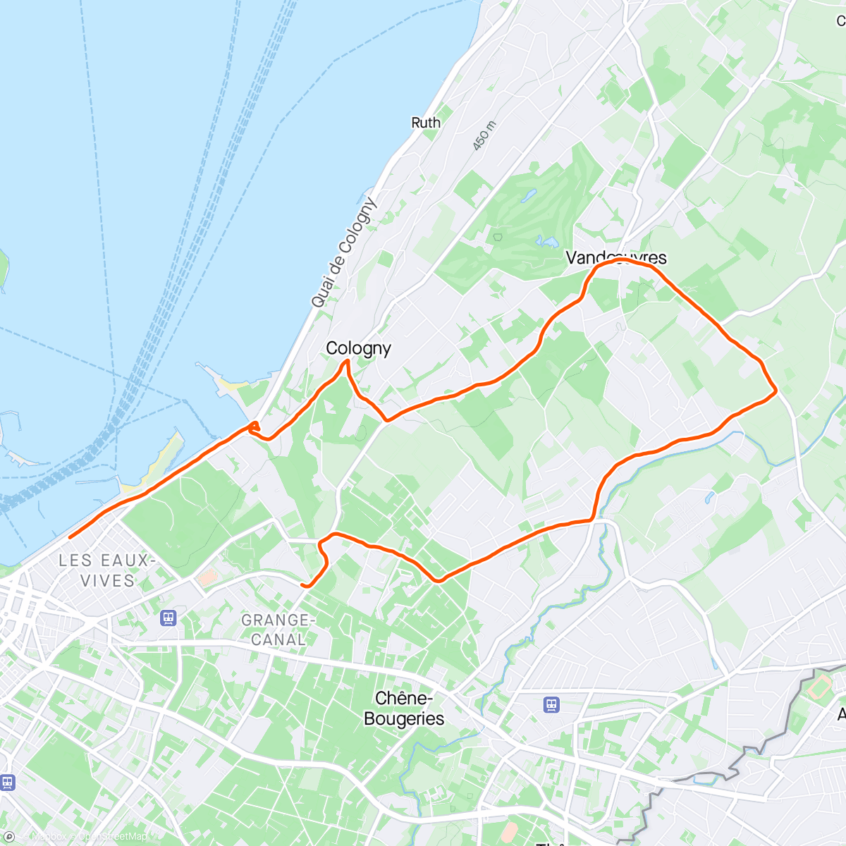 Mapa de la actividad (10 Km walking - Marathon de Genève)