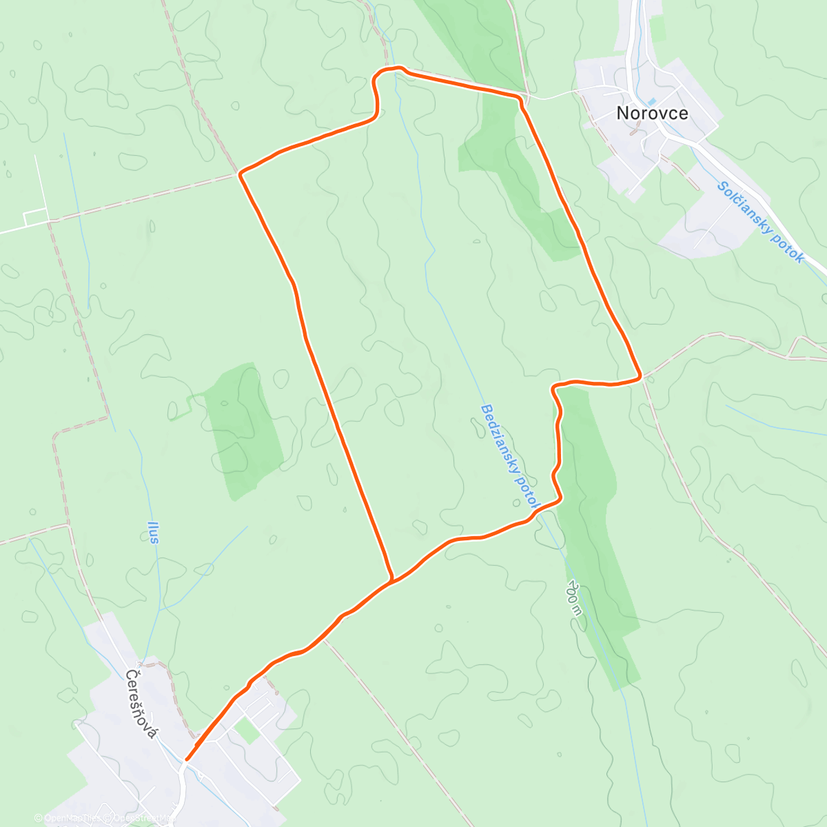 Map of the activity, Morning Trail Run