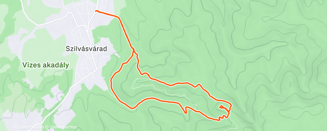 Карта физической активности (Gerenna-vár)