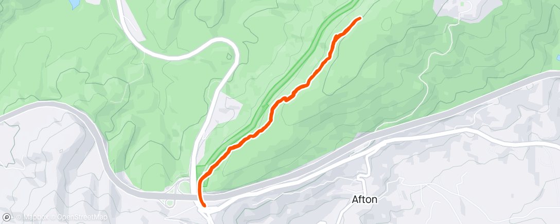 Map of the activity, Evening Run