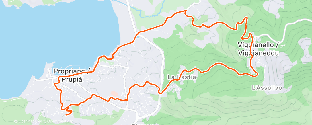 Map of the activity, Course à pied dans l'après-midi