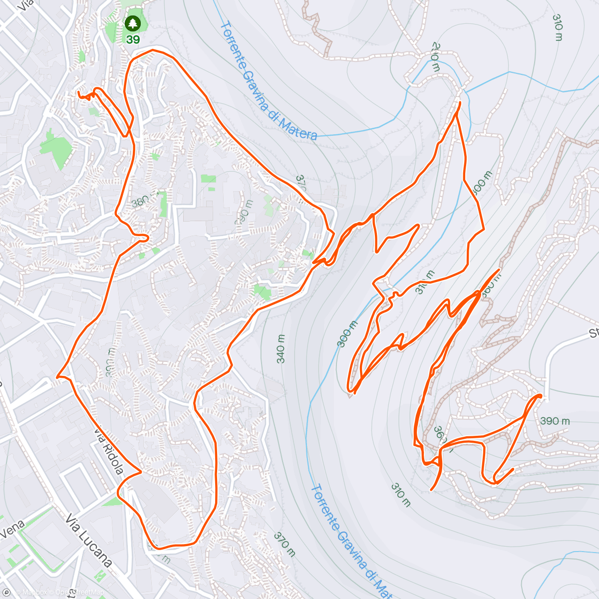 Map of the activity, Morning Run/Hike
