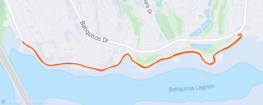 Map of the activity, 1st 3 mile very slow and easy since tree 🌳