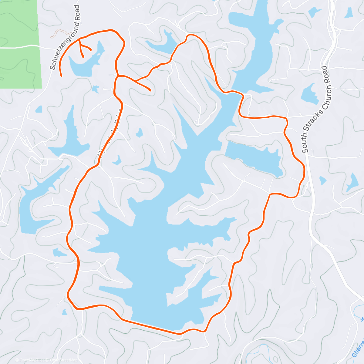 Карта физической активности (Innsbrook laps)