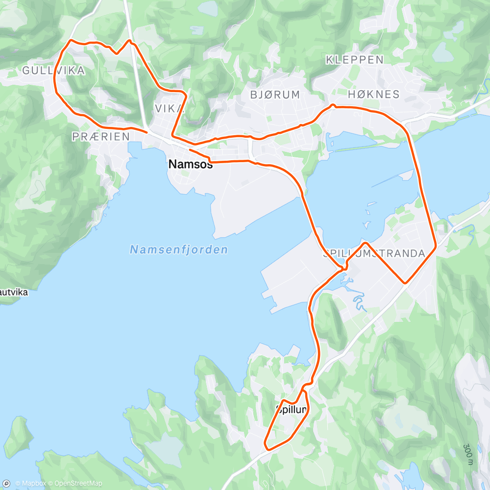 Map of the activity