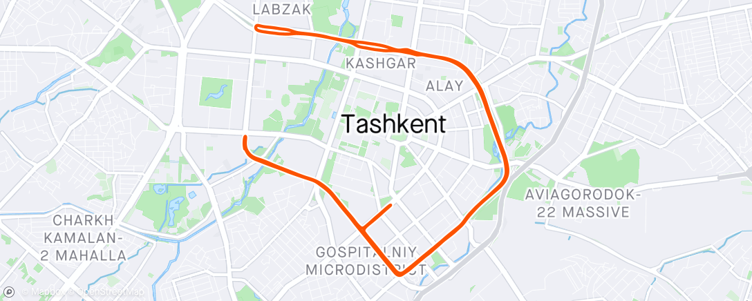 Map of the activity, VI Tashkent International Marathon