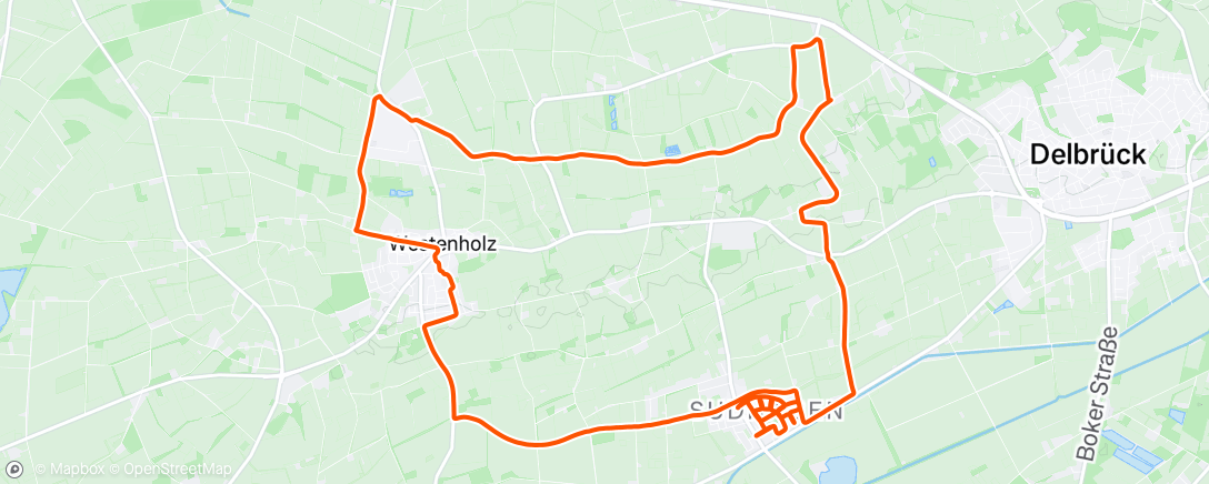 Map of the activity, Night Run