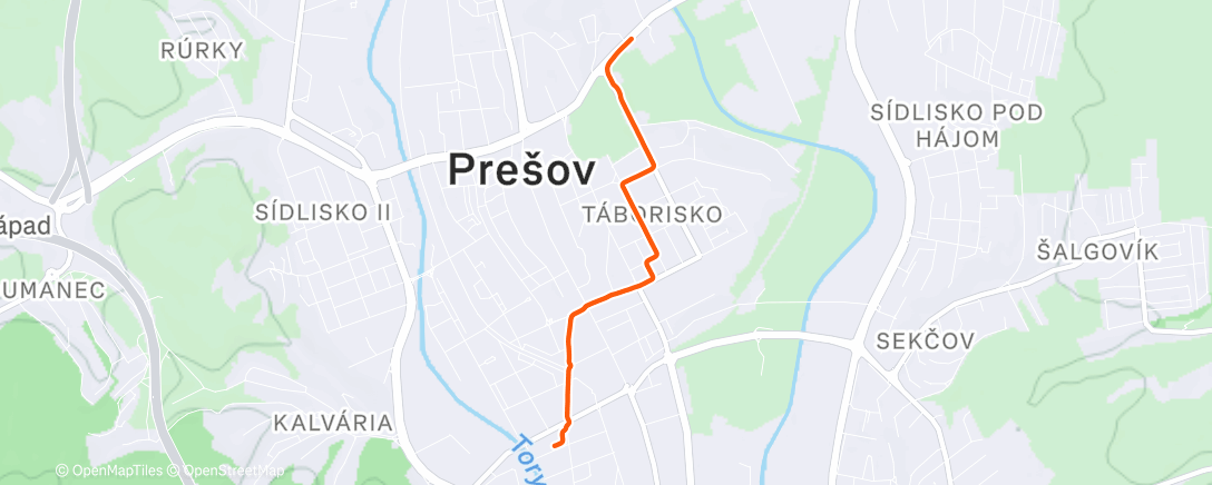 Карта физической активности (Morning Gravel Ride)