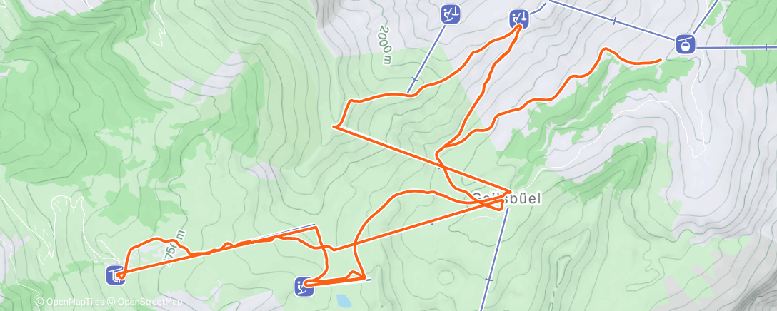 Карта физической активности (Afternoon Alpine Ski)