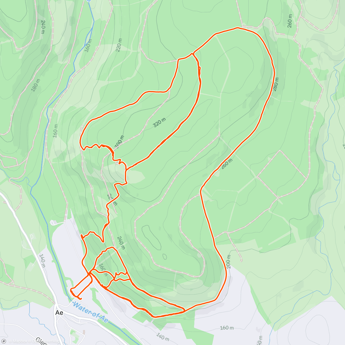 Карта физической активности (Ae Forest)