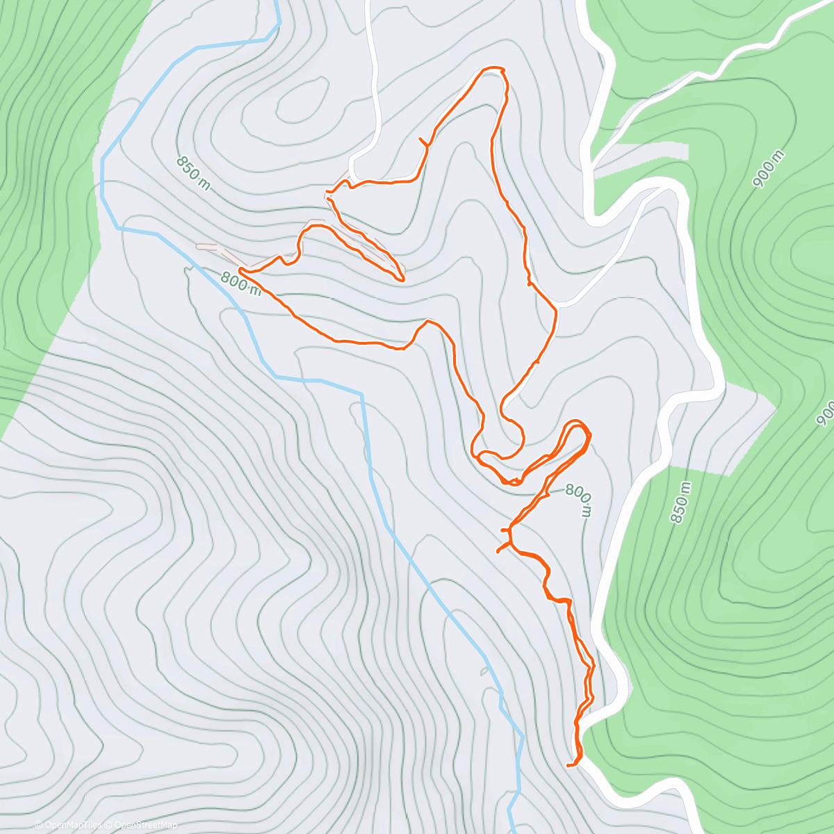 Map of the activity, PNI
