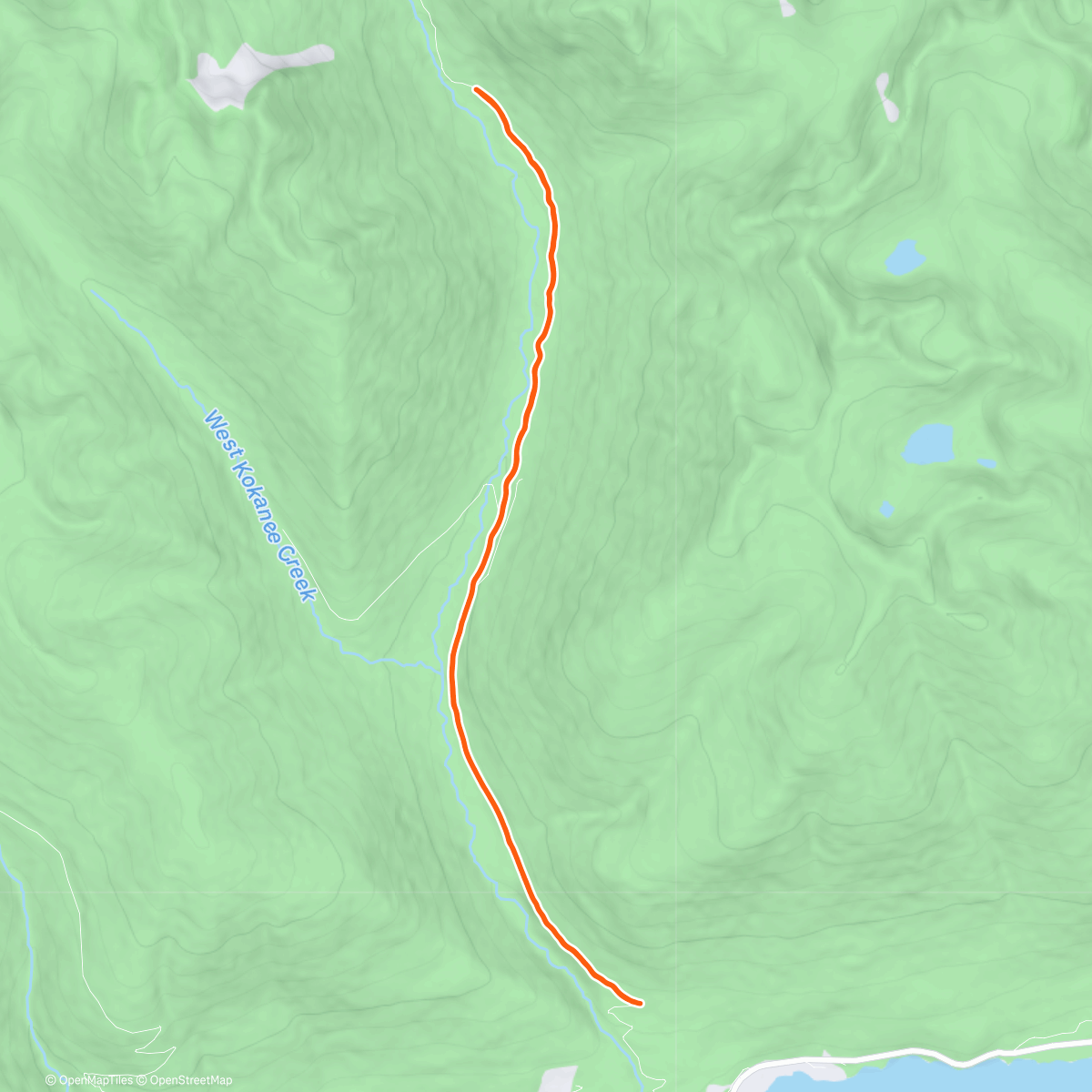 Map of the activity, N a N zone 2