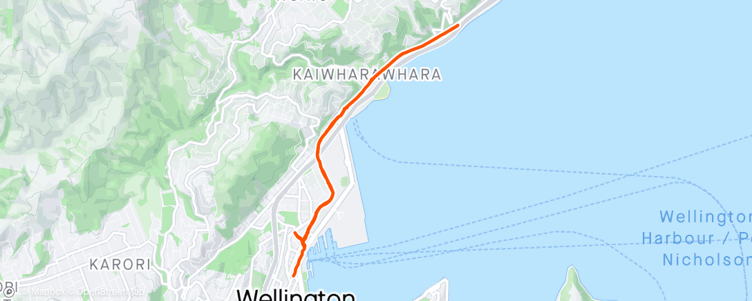 Mappa dell'attività Wet and Windy Wellington.