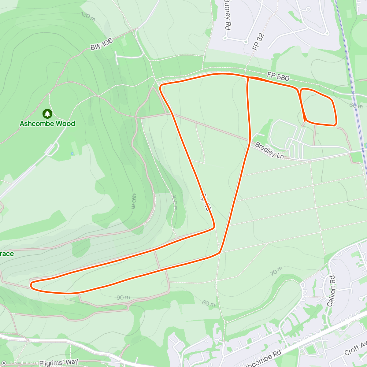 Карта физической активности (Mole Valley Parkrun)