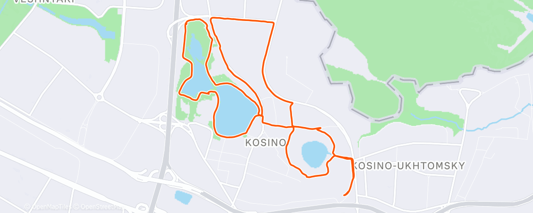 Карта физической активности (Утренний забег)