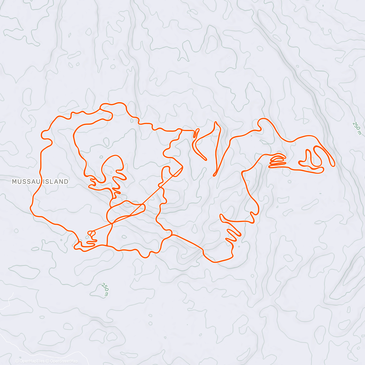 Mappa dell'attività 3Wk 4000TSS 💅🏾