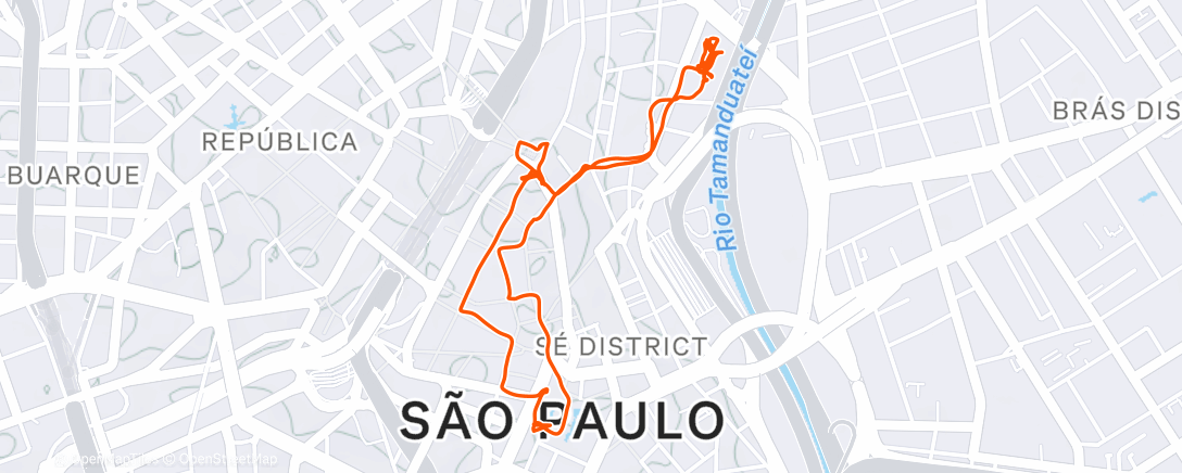 Map of the activity, Sao Paulo