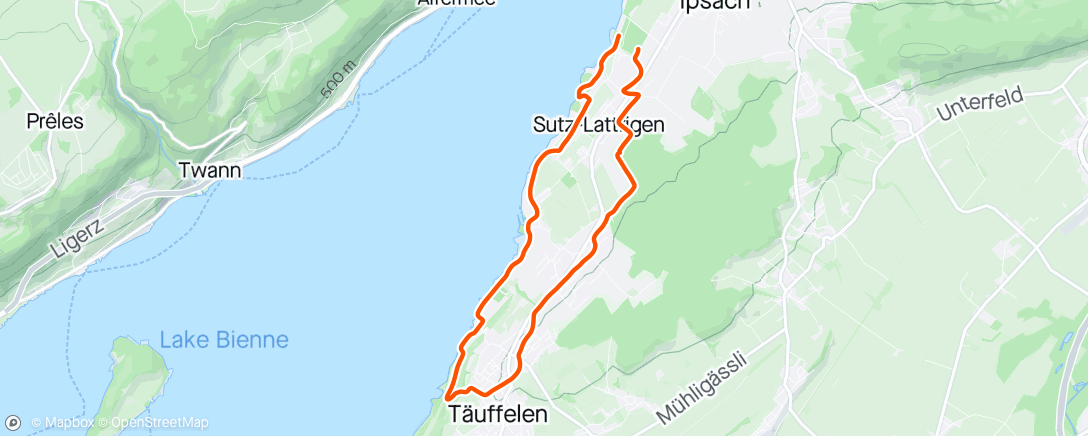 Map of the activity, Morning Walk Täuffelen