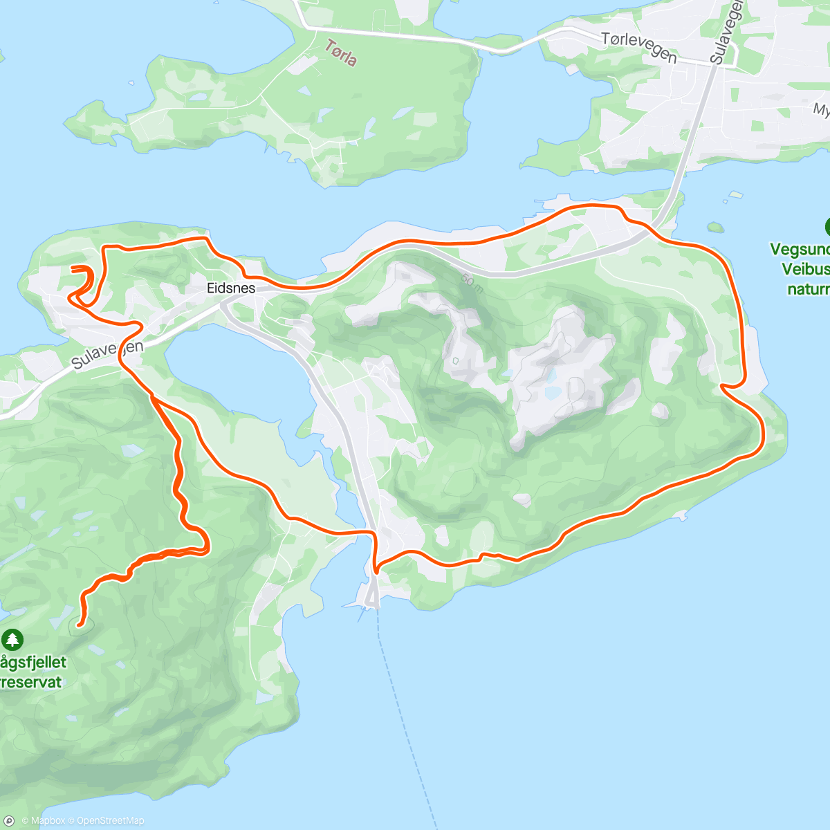 Map of the activity, Evening Run - 41/2024. Kvasneset + Trollhaugen.
