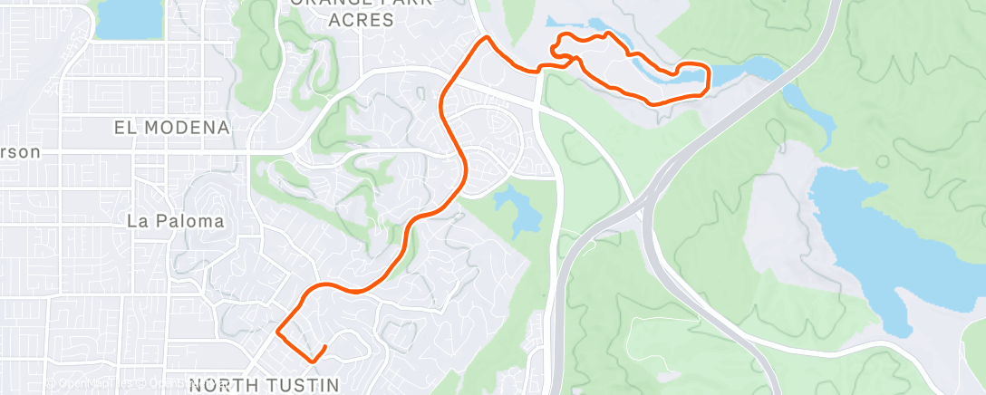 Карта физической активности (Morning Run)