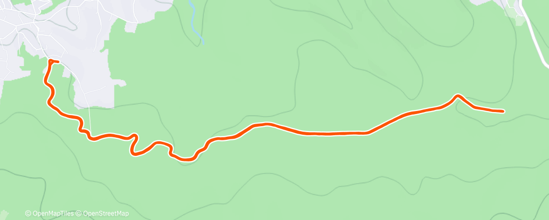 Карта физической активности (Morning Run)