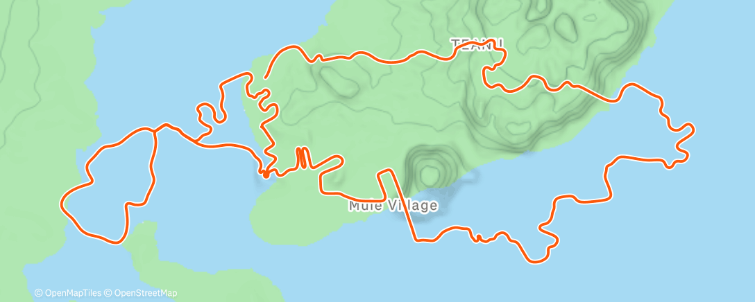 Map of the activity, Zwift - Ruckus on Jarvis Seaside Sprint in Watopia