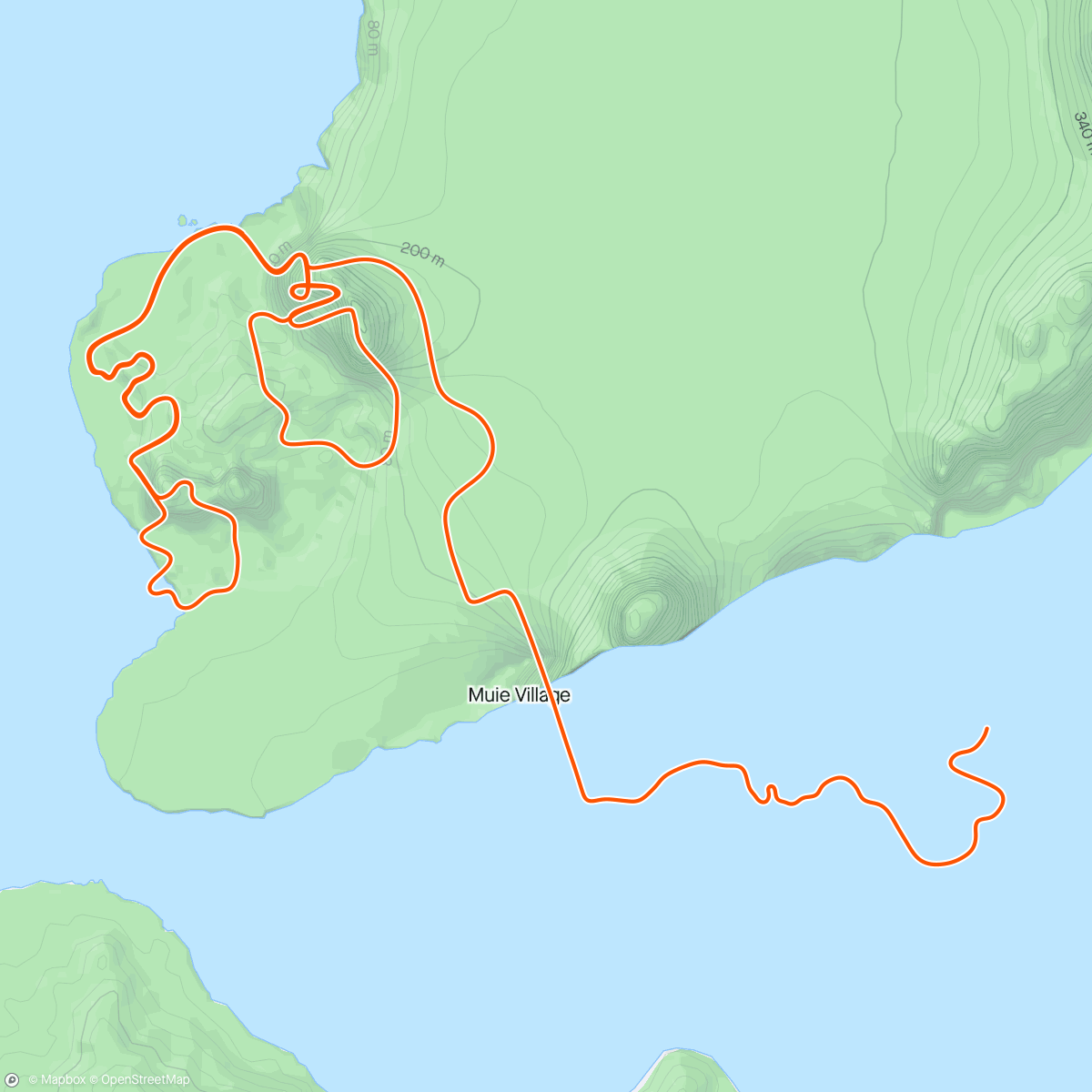 Map of the activity, Zwift - Active Recovery (optional) in Watopia