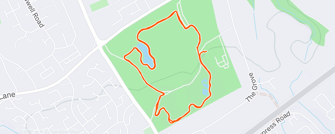 Map of the activity, Stewart new year parkrun - only just.