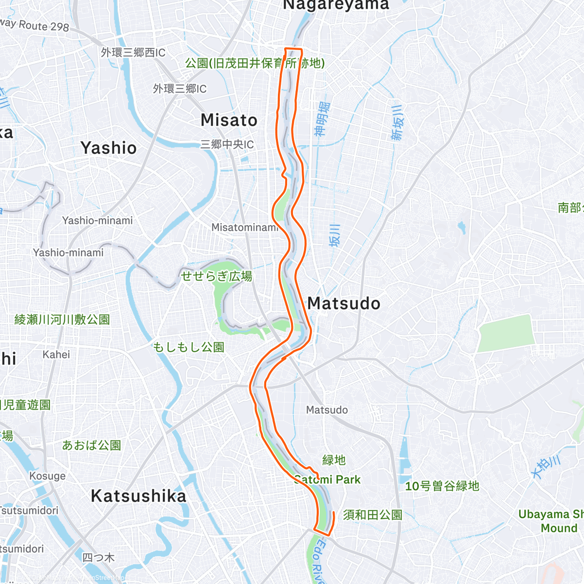 Карта физической активности (Long Run)