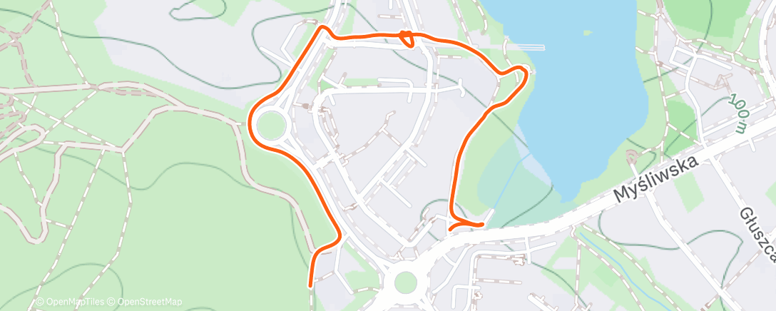 Карта физической активности (Evening Walk)