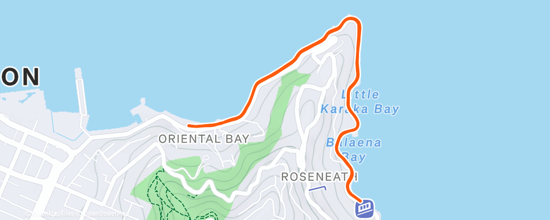 Map of the activity, Morning Run