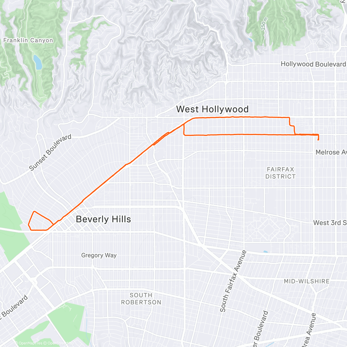Map of the activity, Morning Run