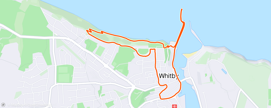 Map of the activity, Whitby