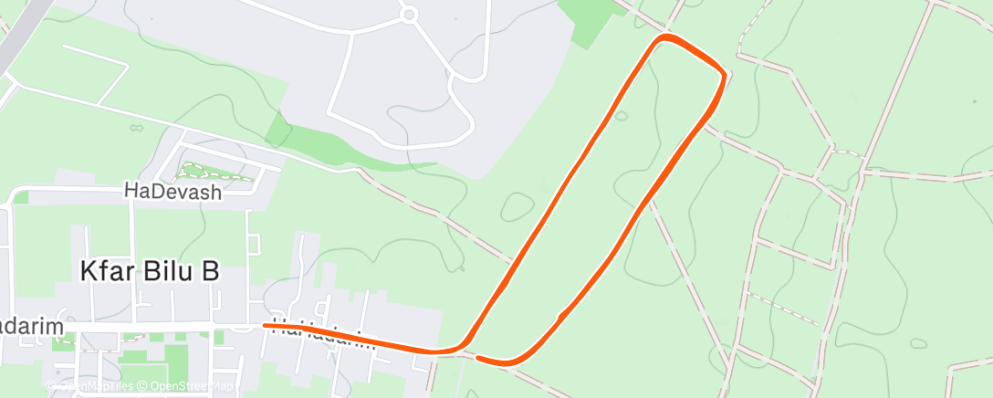 Карта физической активности (Evening Run)