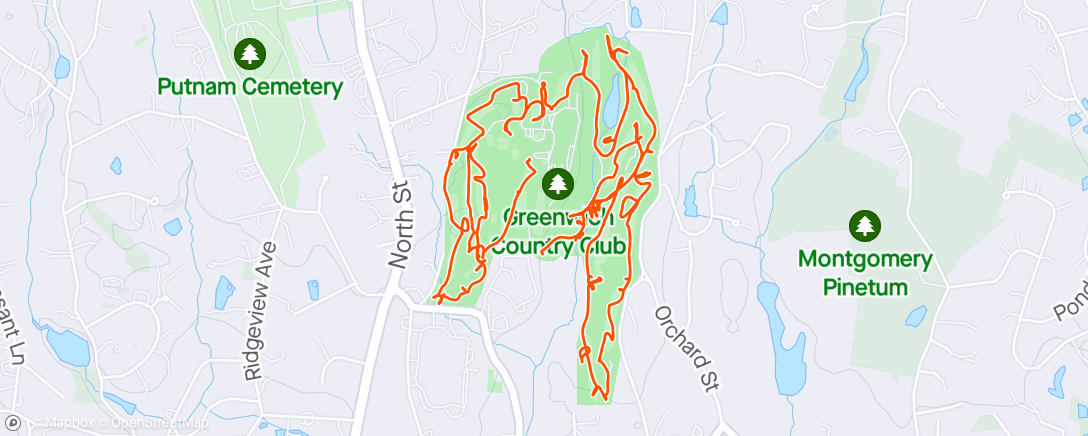 Map of the activity, Greenwich CC - 82