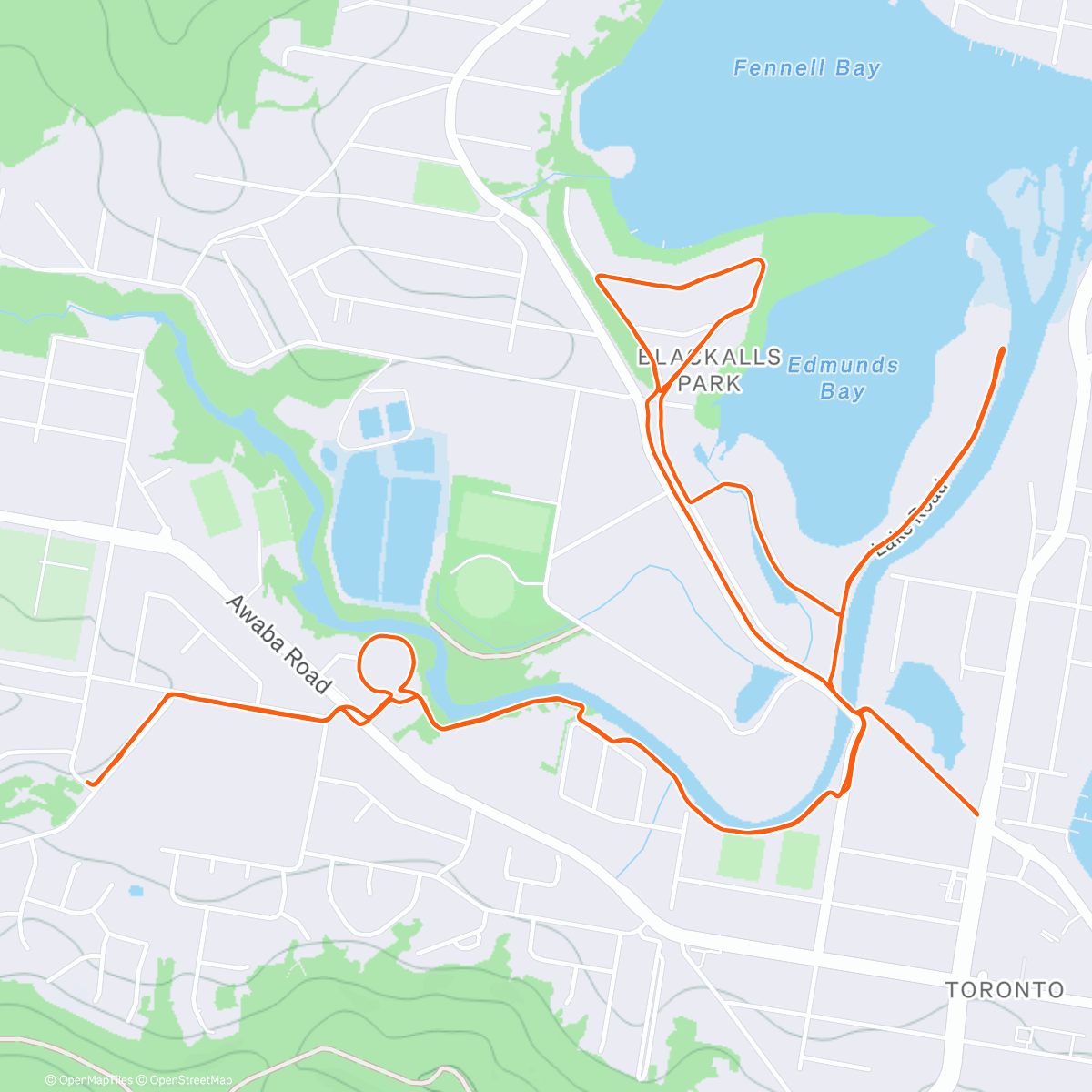 Map of the activity, Z2 Long Run