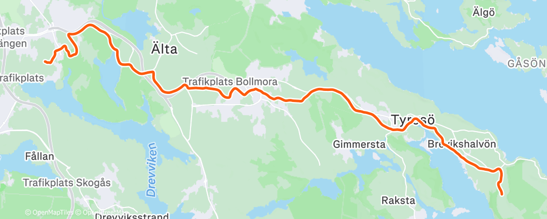 Map of the activity, Morning Run