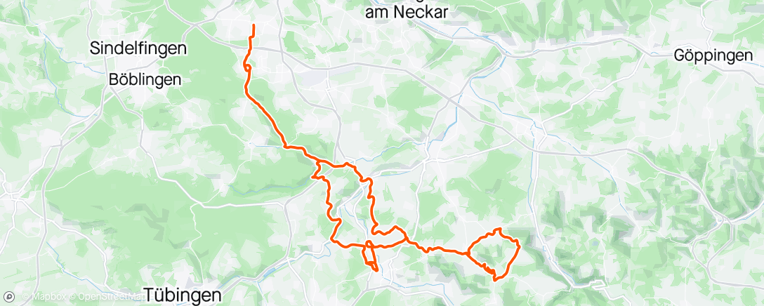 Map of the activity, Neuffen Ride