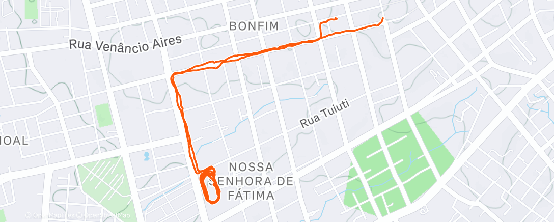 Map of the activity, Evening Run