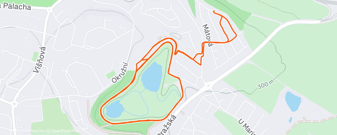 Карта физической активности (Lauf am Morgen)